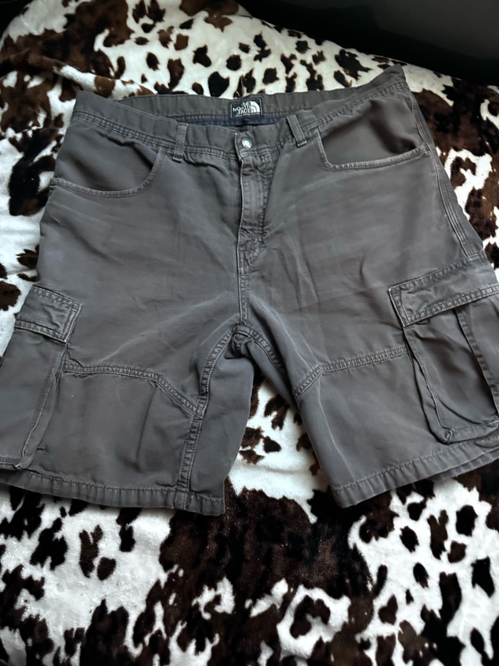 The North Face Men's Cargo Shorts - Dark Brown